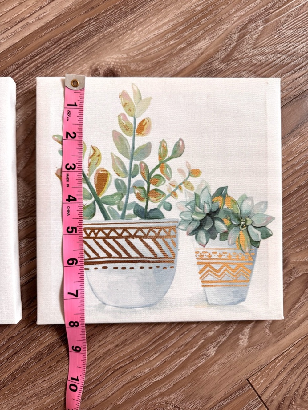 Succulent Plant Art Set - Picture 8 of 13